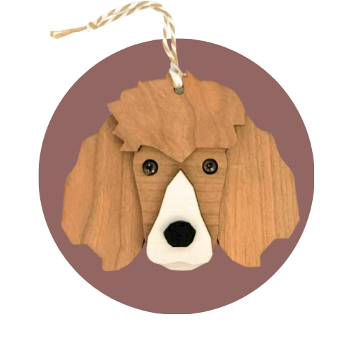Caniche (grand)