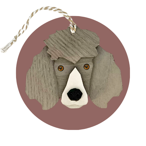 Caniche (grand)
