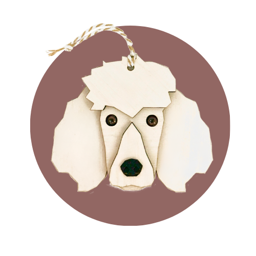 Caniche (grand)