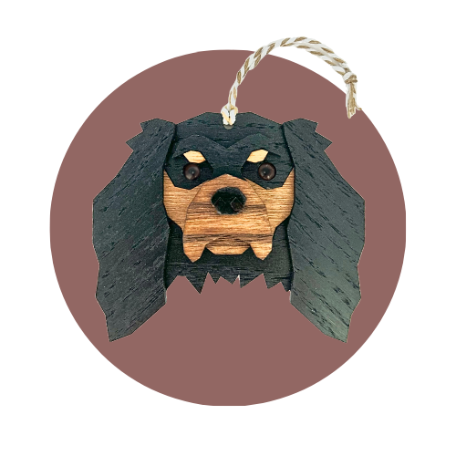Cavalier King Charles