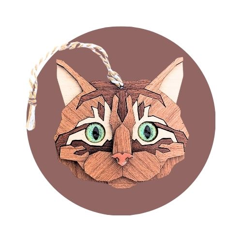 Chat tabby roux