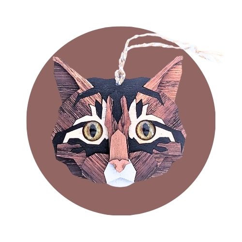 Chat tabby noir et brun
