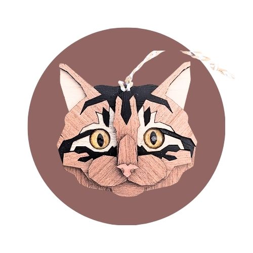 Chat tabby roux et noir