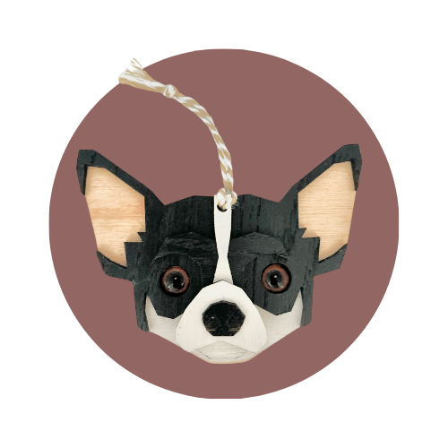 Chihuahua