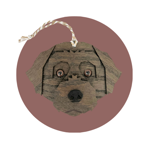 Labradoodle