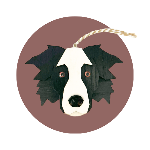 Border Collie 2