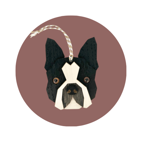 Boston Terrier