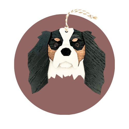 Cavalier King Charles